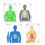 EZ Aim Fun Paper 12 X 18 Imposing Figures Assortment - 8 Tar