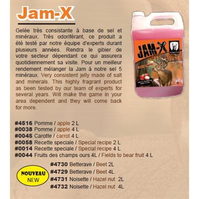 JAM X NOISETTE 4 LITRE