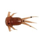 "1-1 / 4"" NYMPH 22  PCS PUMPKIN PEPPER"