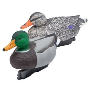 FA MALLARD SPECIAL 12 PK, BOX