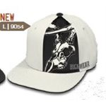 Skully Pannel Snapback