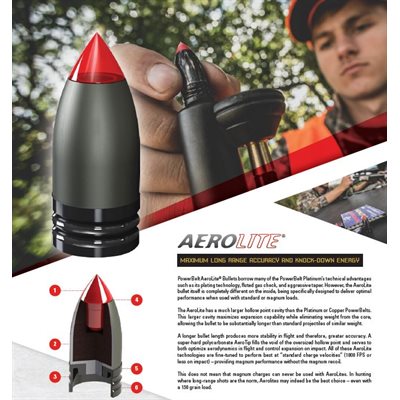 PowerBeltä Bullets – 15 pk .45 Cal. 195 gr. Copper,