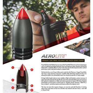 PowerBeltä Bullets – 15 pk .45 Cal. 195 gr. Copper,