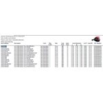 JIG STEELHEAD 1 / 4 oz HP / HP