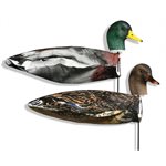Sentry Mallards