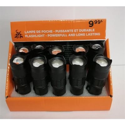 CREE XPE R3 LED, max output is 170lm DISPLAY DE 10 UNITÉS