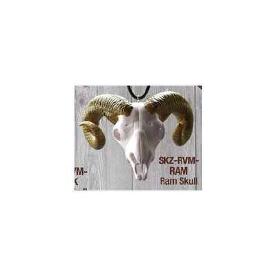 "Skullz" mirror hanger, Ram