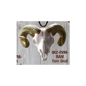 "Skullz" mirror hanger, Ram