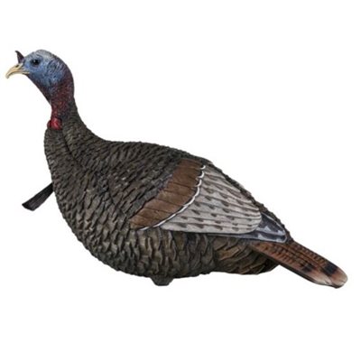 THUNDER JAKE - 1 / 4 STRUT