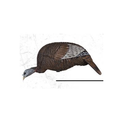 THUNDER CHICK™ FEEDER