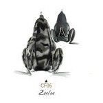 COMBAT FROG - TEXAS TOAD