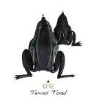 COMBAT FROGTEXAS TOAD