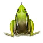 LUNKER FROGKING TOAD