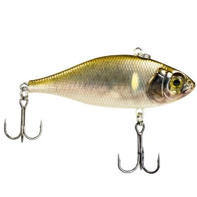 FILLET 1 OZCOMMON SHINER