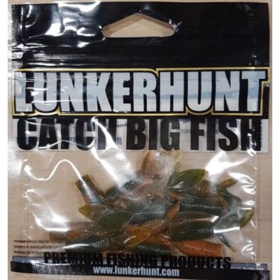 WATER BUG (1.5in)SQUASH