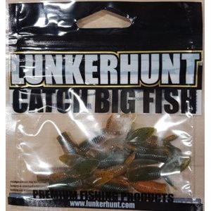 WATER BUG (1.5in)SQUASH