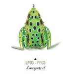 POCKET FROGLEOPARD
