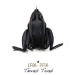 POCKET FROGTEXAS TOAD