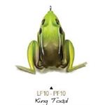 POCKET FROGKING TOAD