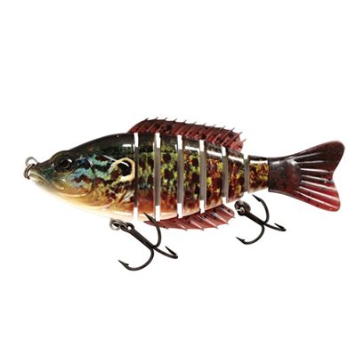 4 Live Series#466-Pumpkinseed