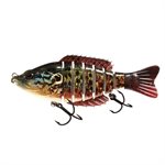 4 Live Series#466-Pumpkinseed