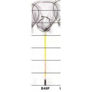 B48F BASKET NET 4'FIBERGLASS