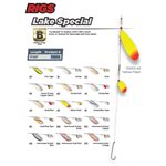 #46 GRT    LAKE SPECIAL