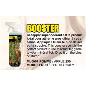BOOSTER FRUITE 250 ML