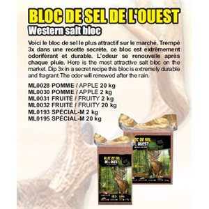 BLOC SEL DE L'OUEST FRUITS 2 KG10PACK