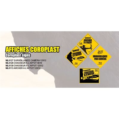 AFFICHE CORO SURVEILLANCE PAR CAMERA 12 X 1212PACK