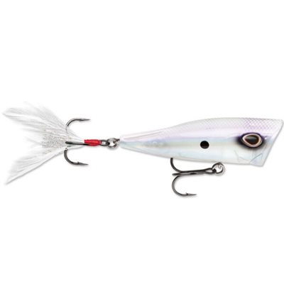 Arashi Cover Pop 8 Ghost Prl Sd