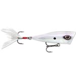 Arashi Cover Pop 8 Ghost Prl Sd