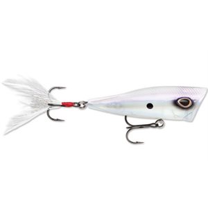 Arashi Cover Pop 8 Ghost Prl Sd