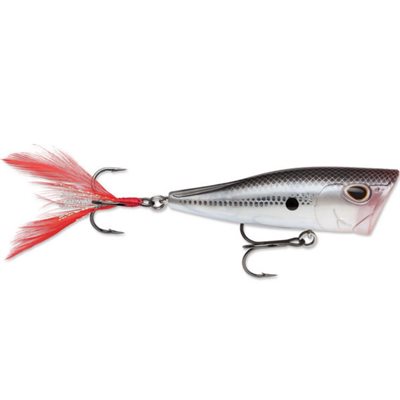 Arashi Cover Pop 8 Black Slvr Sd