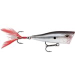 Arashi Cover Pop 8 Black Slvr Sd