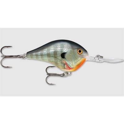 Dives-To 04 Bluegill