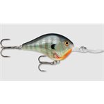 Dives-To 04 Bluegill