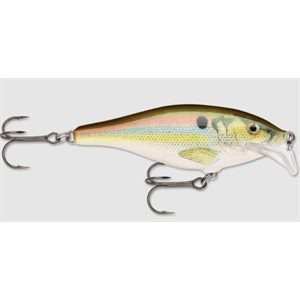 Scatter Rap Shad 07 Live River Shad