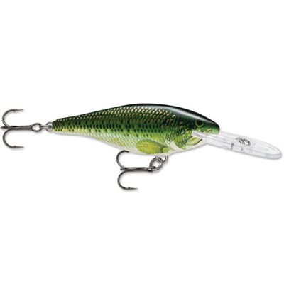 Shad Rap 07 Baby Bass