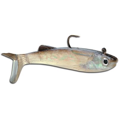 Wildeye Live Saltwater Anchovy 03 Anchovy