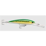 X-Rap Magnum 40 Gold Green Mackerel
