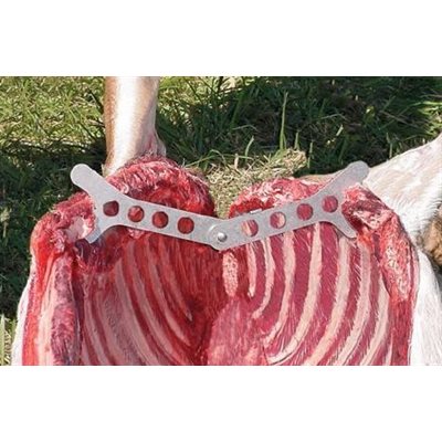 STEEL STICK (BRISKET SPREADER)-DISCO | ***BLOW OUT***