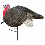 Gobbstopper Jake, Box