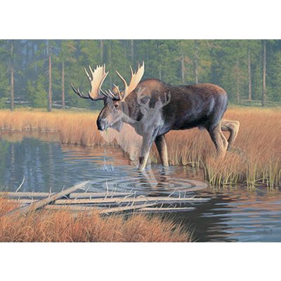 1,000 pc. Boxed THE MONARCH