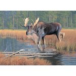 1,000 pc. Boxed THE MONARCH