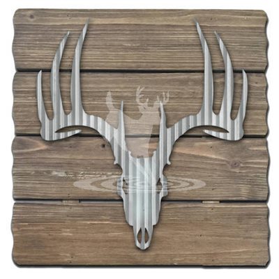 DEER SKULL