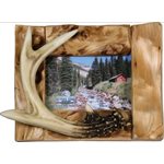Picture Frame 4in x 6in - Deer Antler