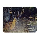 Cutting Board 12in x 16in - Southern Exposure