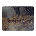 Cutting Board 12in x 16in Arrival