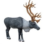 1 / 3 Scale Woodland Caribou